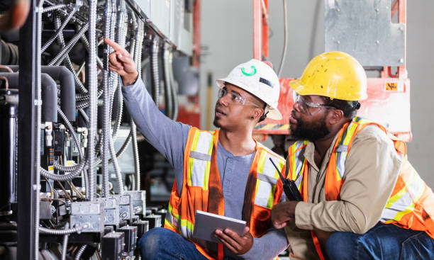 Best Affordable Electrician  in Belle Rose, LA